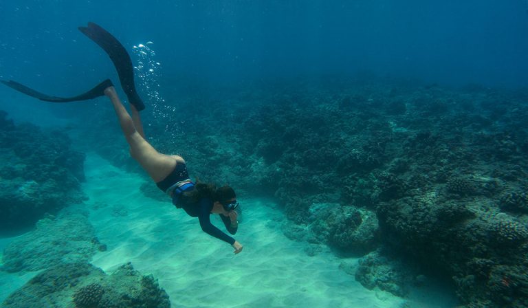 Read more about the article Discover the Wonders of OceanWP’s Scuba Demo for Your Diving Website